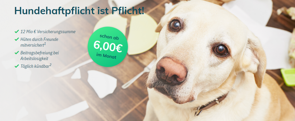 PETPROTECT Hundehaftpflicht im Vergleich 06/2021 ⇒ Kosten, Details